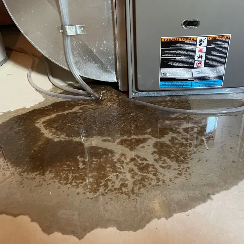 Pipe Burst and Leak Restoration in McCamey, TX