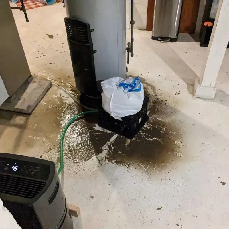 Sewage Backup Cleanup Service in McCamey, TX